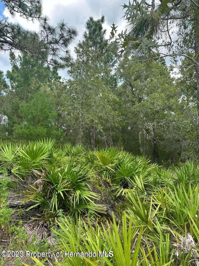 Property Image for Lot 30 Locust Run Drive