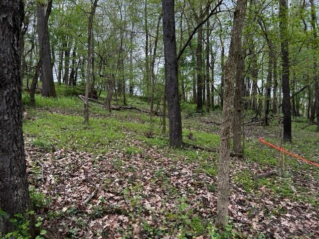 Property Image for Lot 216 Thompsonville Road