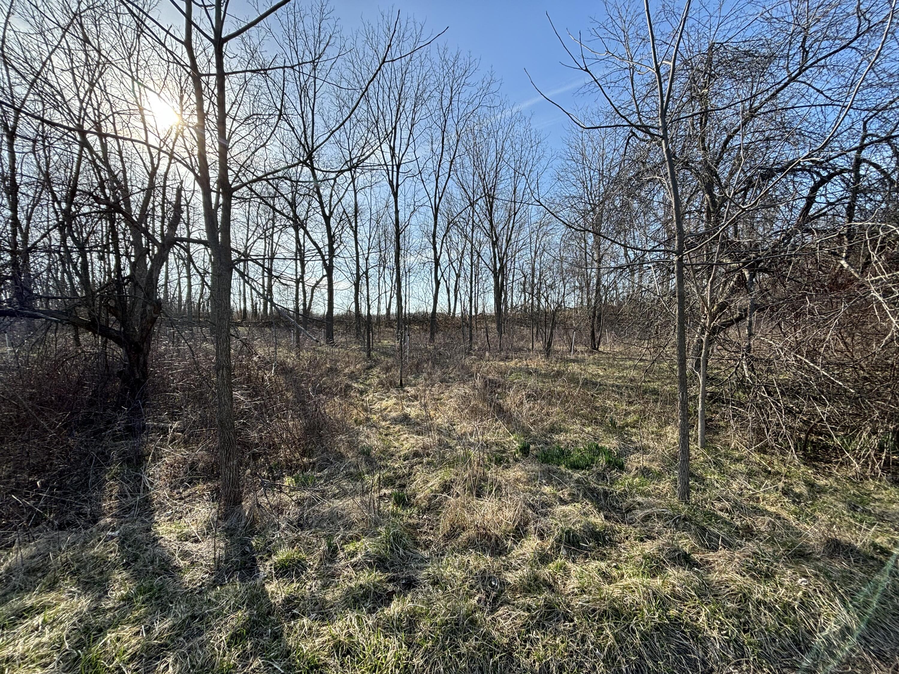 Property Image for 0 W Snyder Road