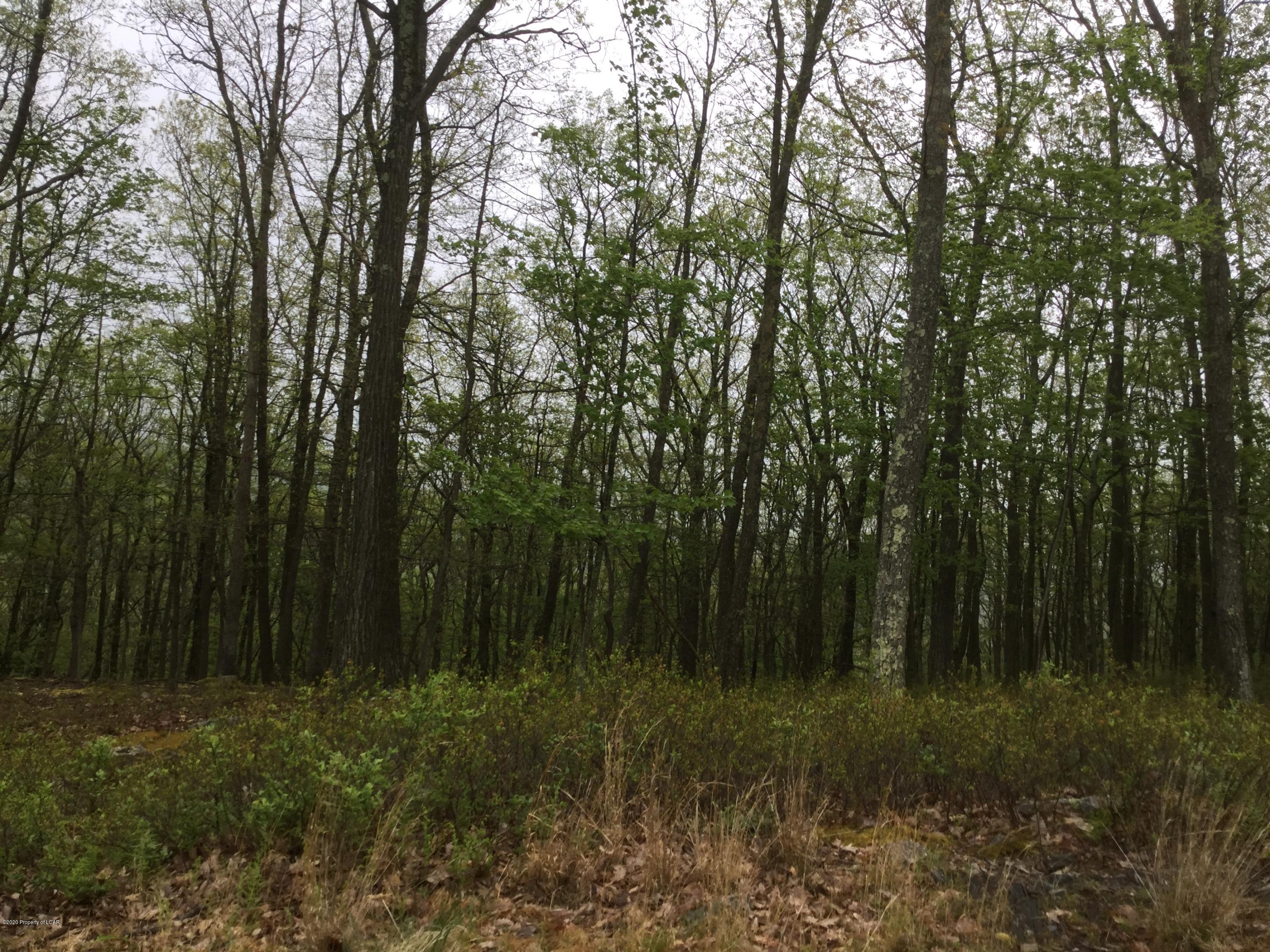 Property Image for JAE Lot 40 Quapaw Drive