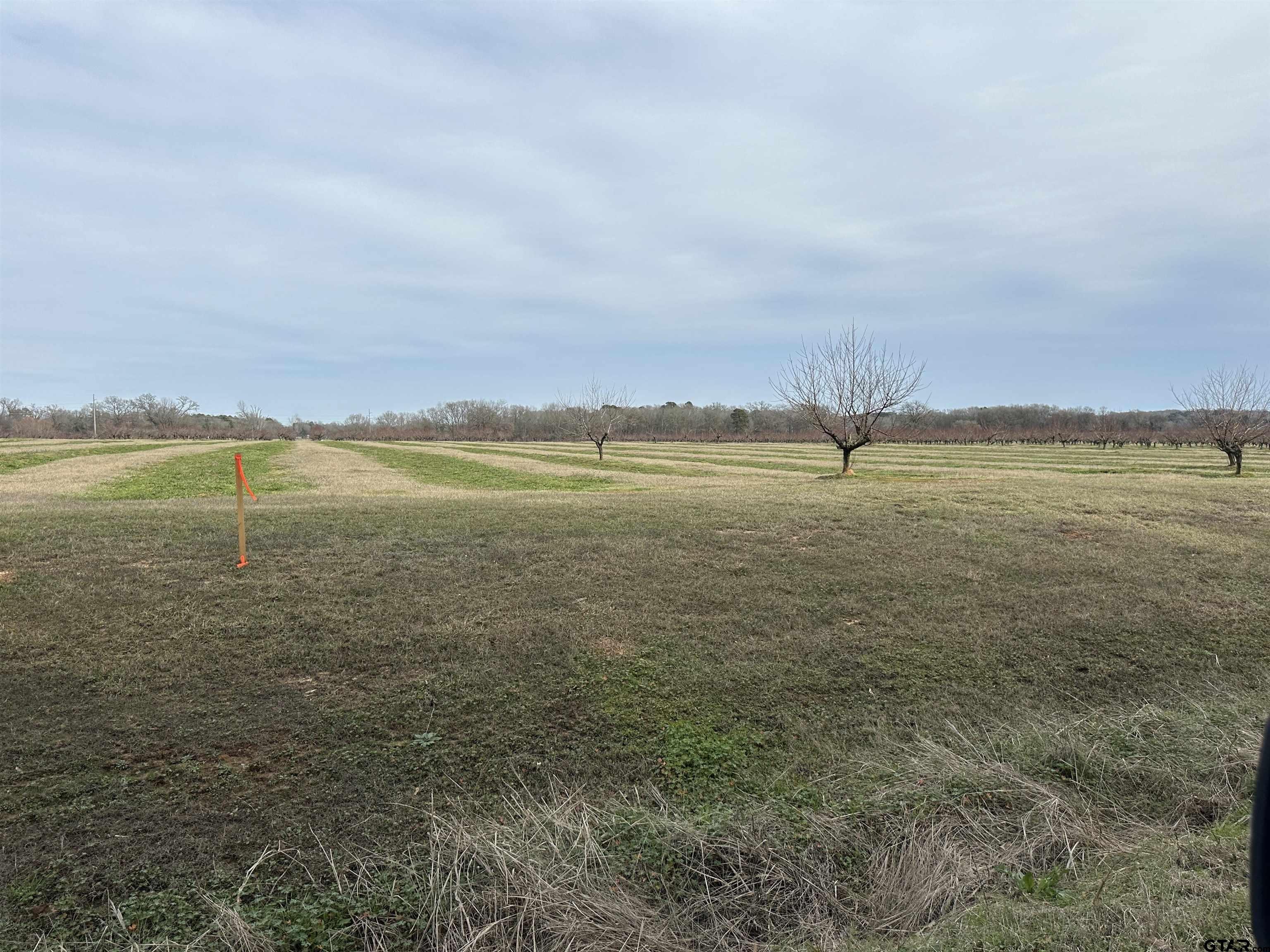 Property Image for Lot 9 CR 4230