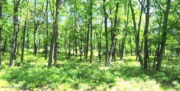 Property Image for LV Lot 491 Buttonbush Lane