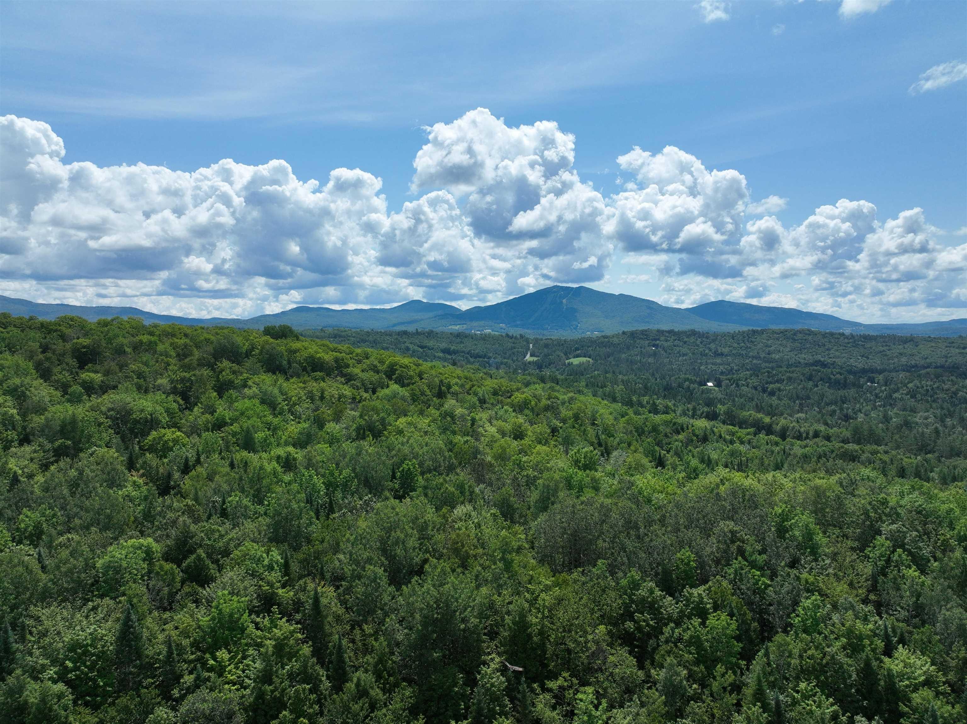 Property Image for 00 Burke Hollow Road