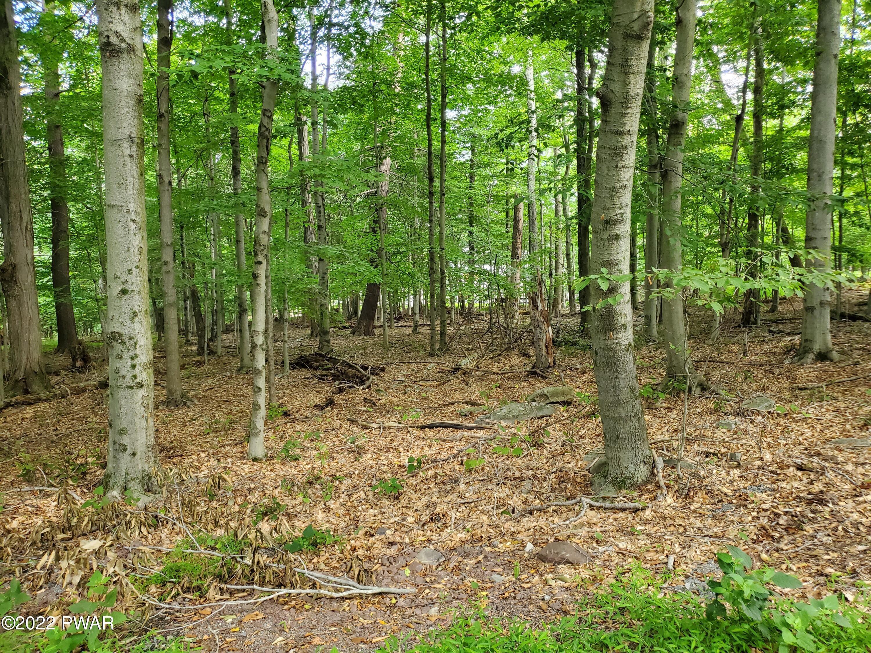 Property Image for Lot 686a Hickory Lane
