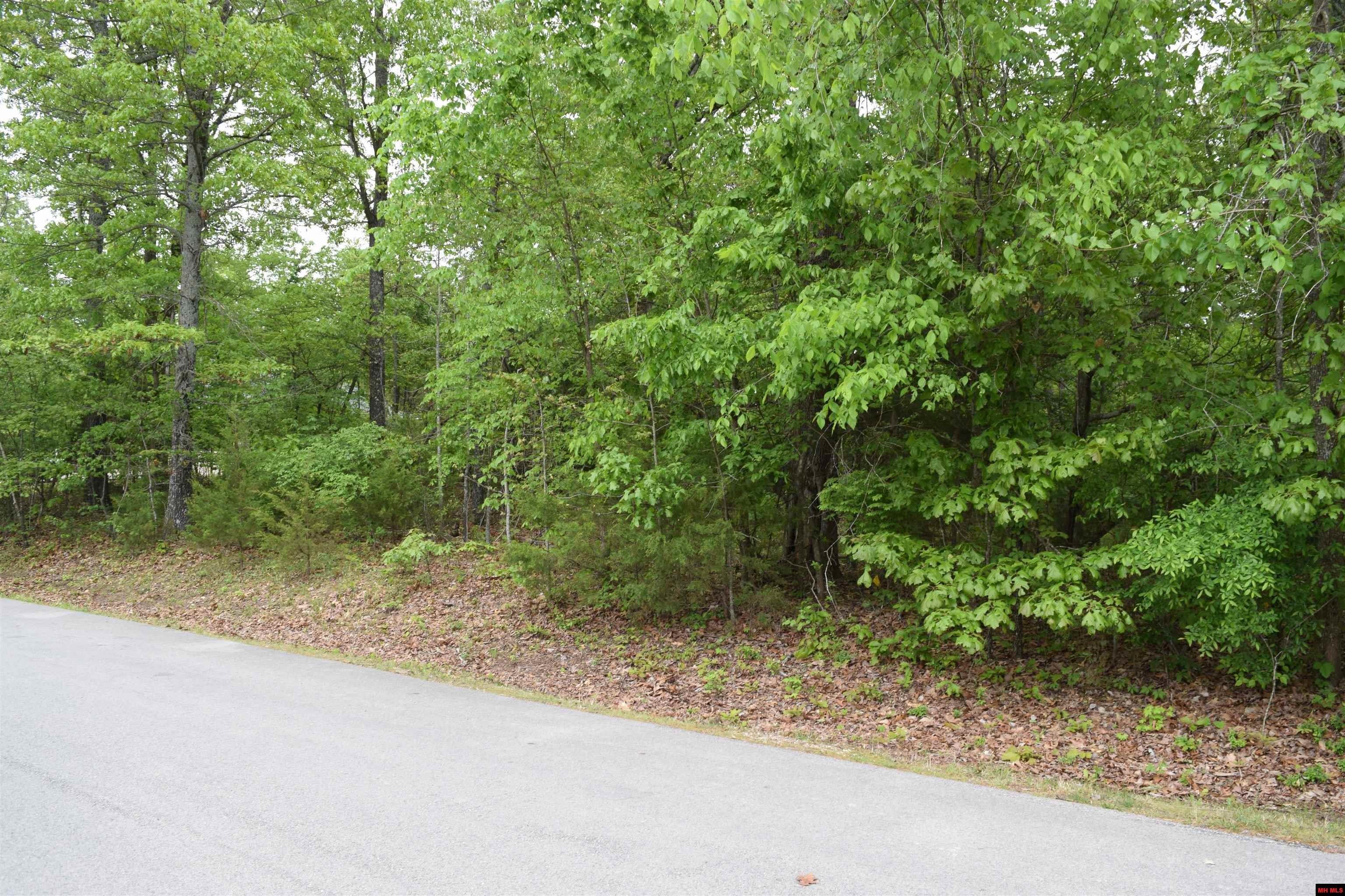Property Image for Lot 15 BRECKENRIDGE COURT