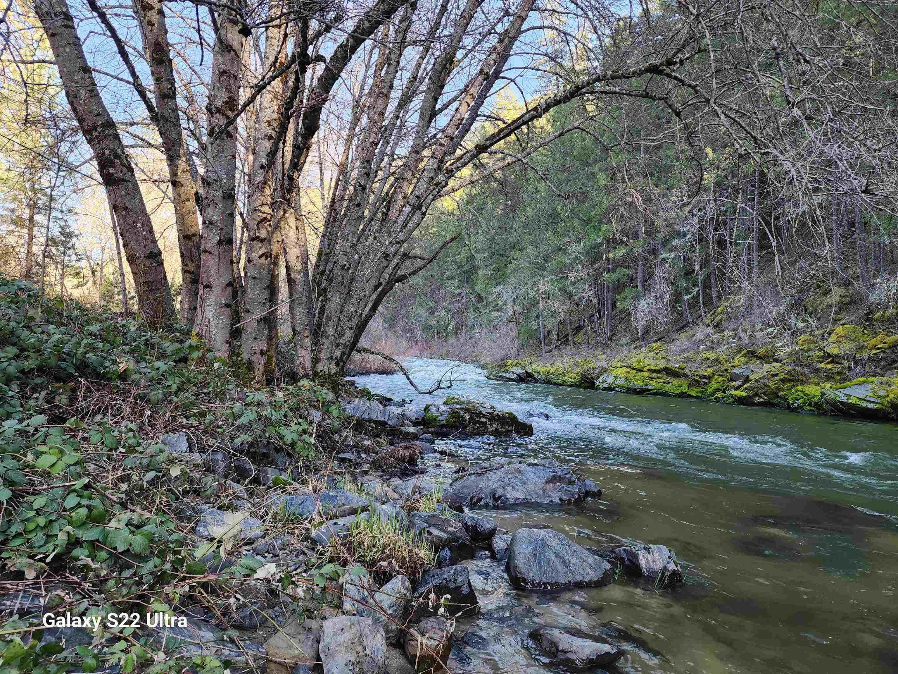 Property Image for 000 Scott River Road