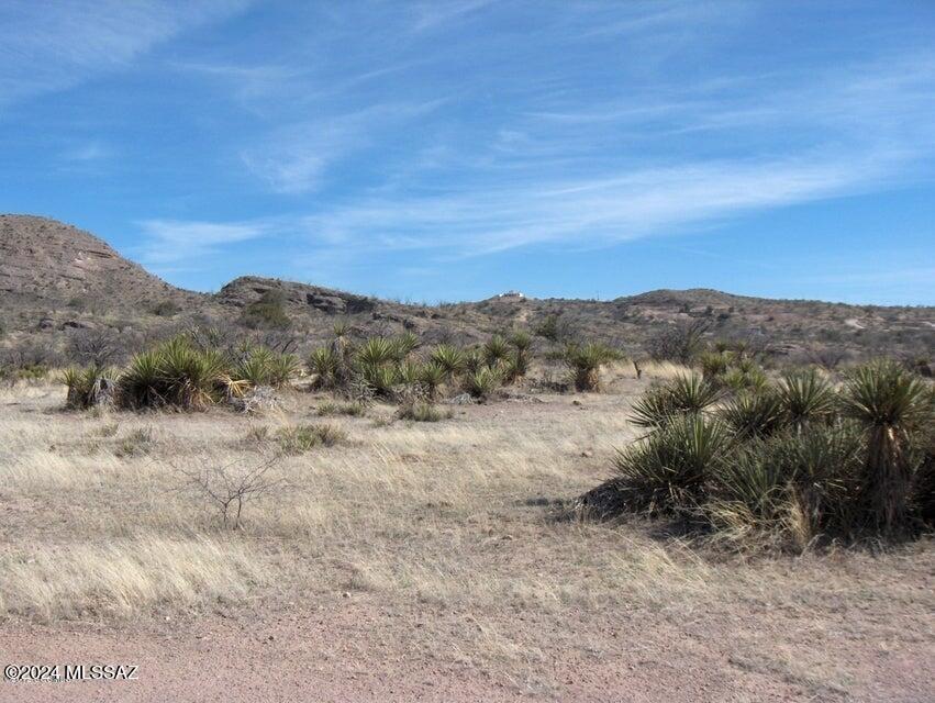 Property Image for 114 Cuates Buttes Lane 81