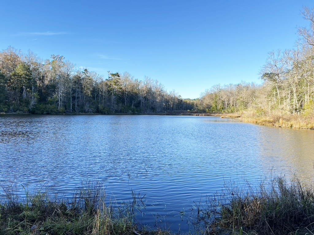 Property Image for 2035 Salley Brown Road