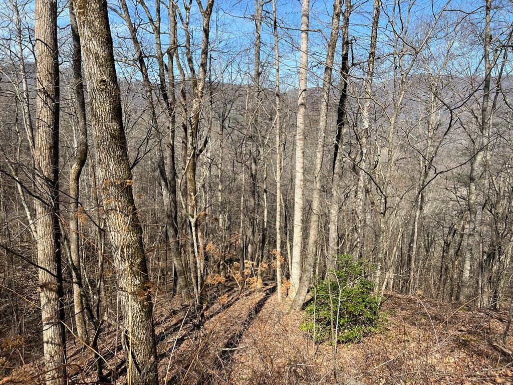 Property Image for Lot 8 Black Bear Trail