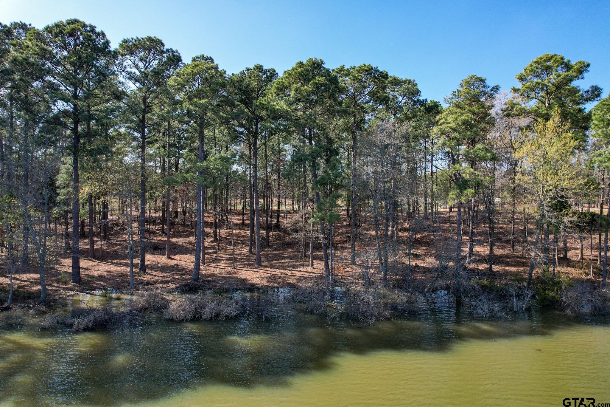 Property Image for Lot 3 Caddo Point