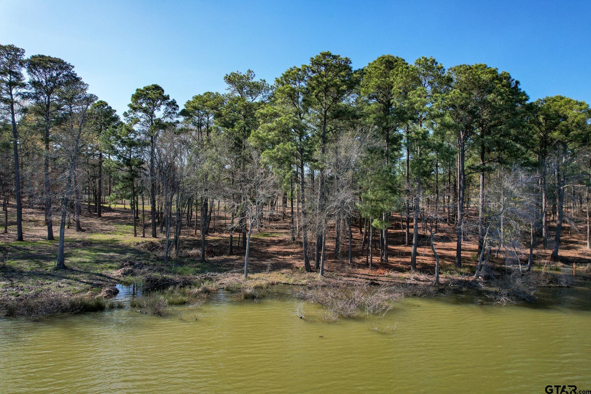 Property Image for Lot 2 Caddo Point