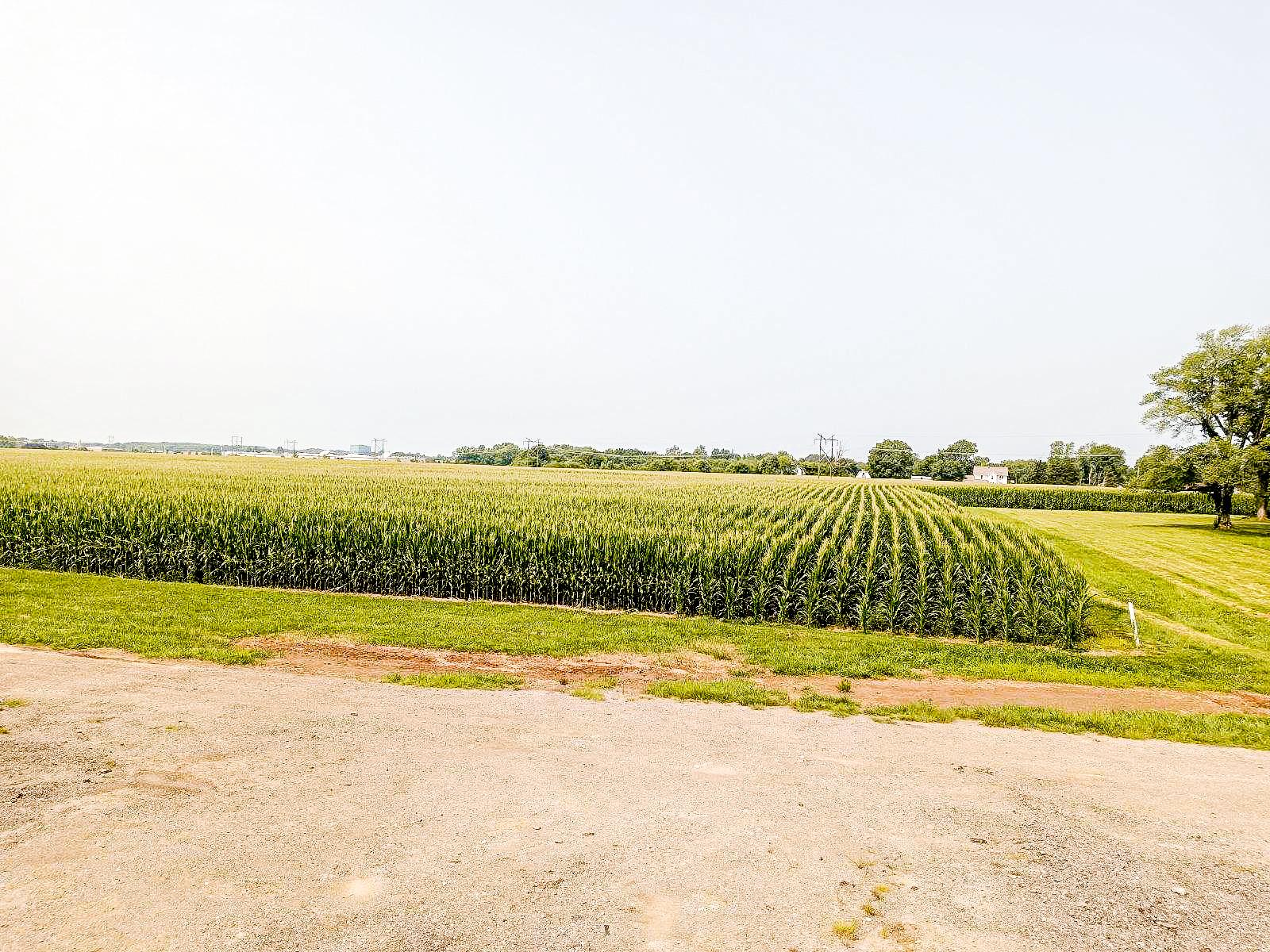 Property Image for Hulman ST