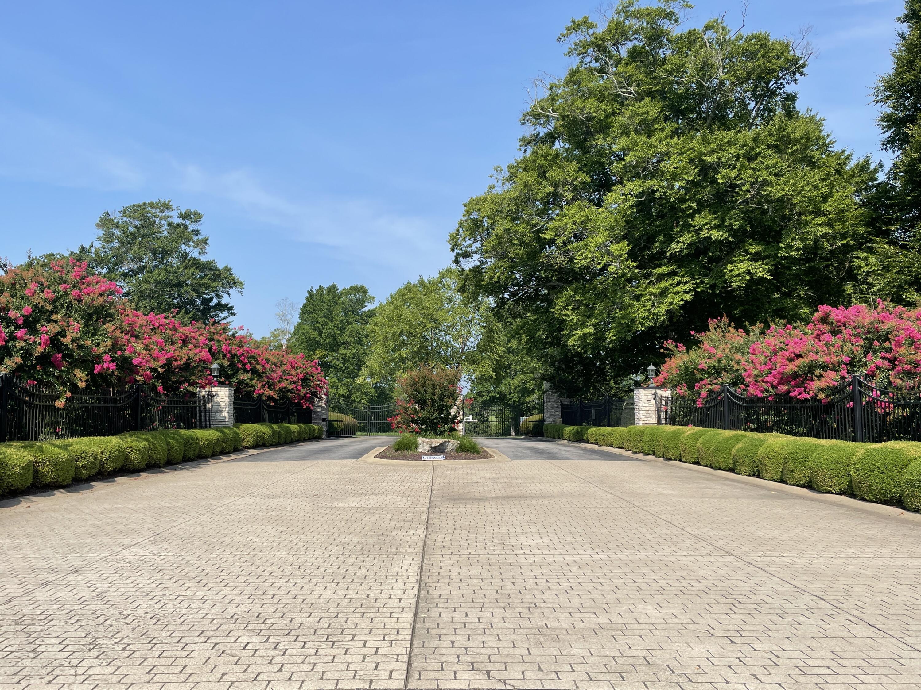 print property image