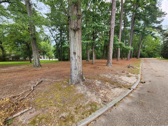 print property image