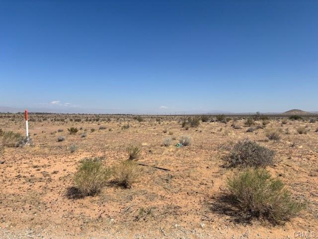 print property image