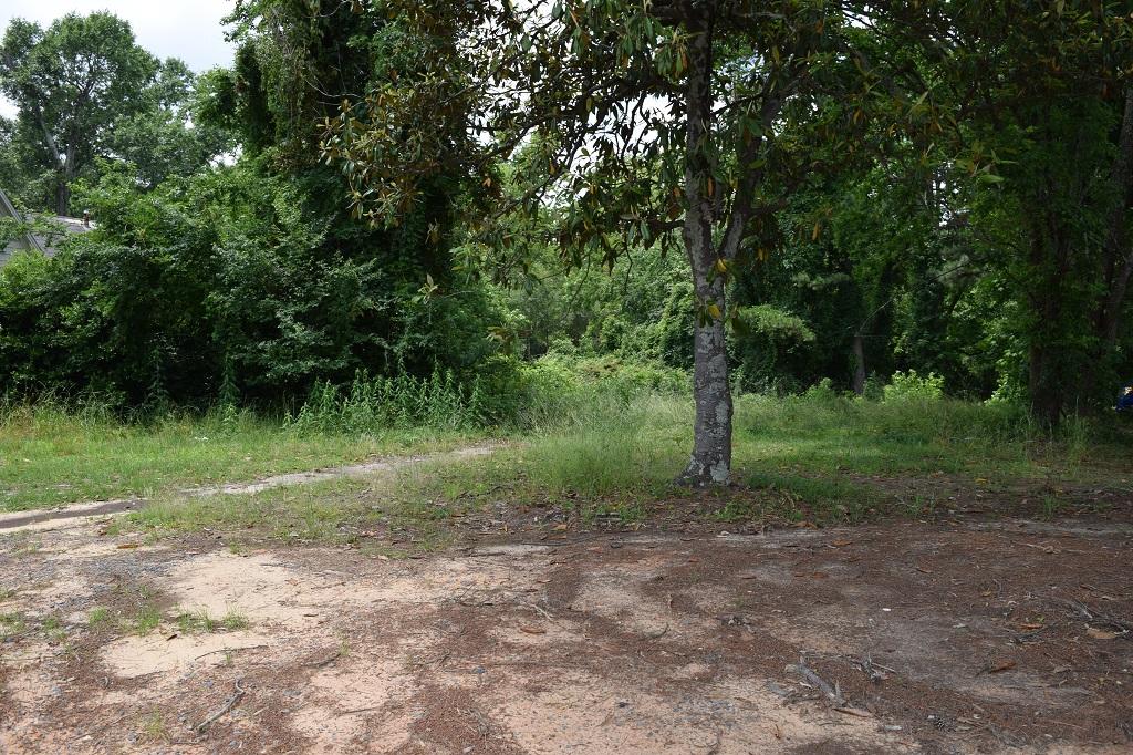 Property Image for 0 Homer Road