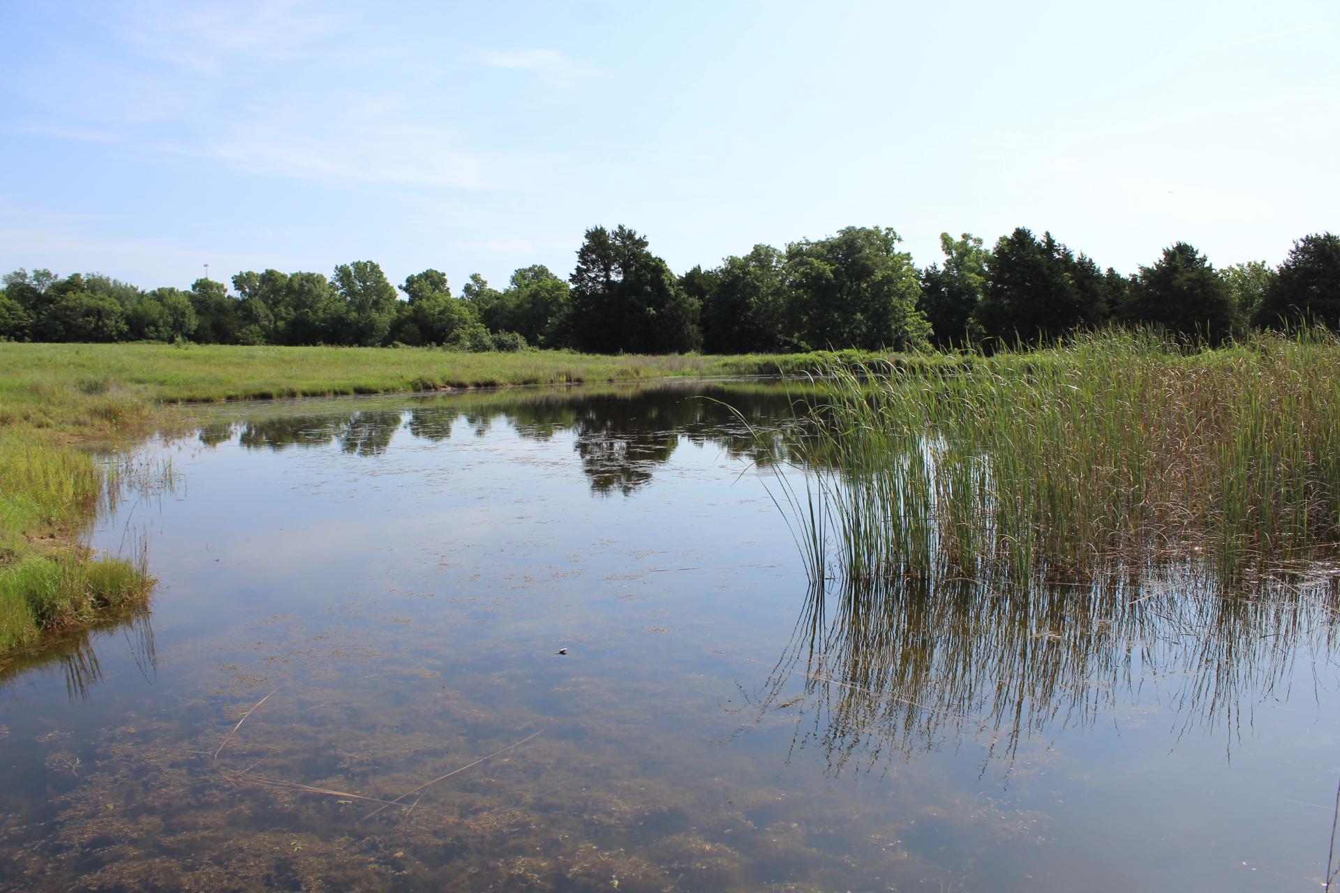 Property Image for S. Rose Road 19.5 Acres