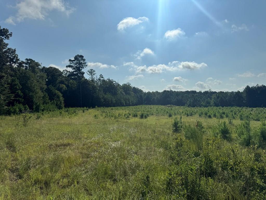 Property Image for East Lamar Street