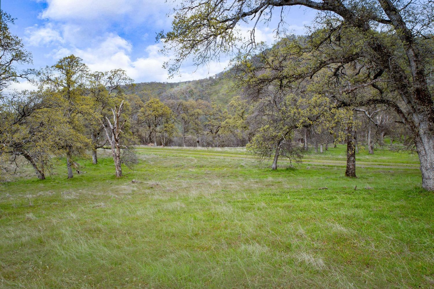 Property Image for 20310 Dawnridge Court