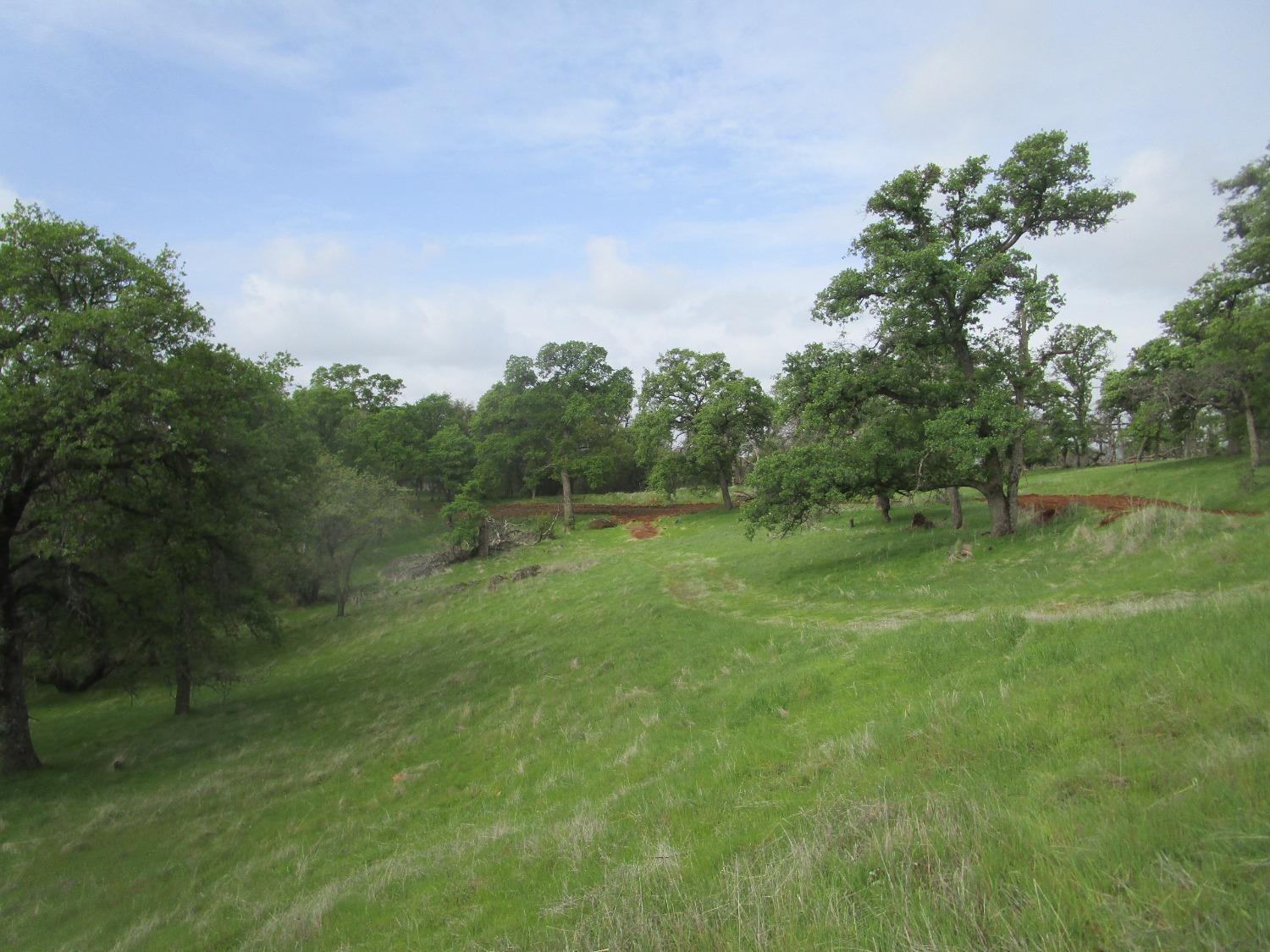 Property Image for 22460 Ladan Lane