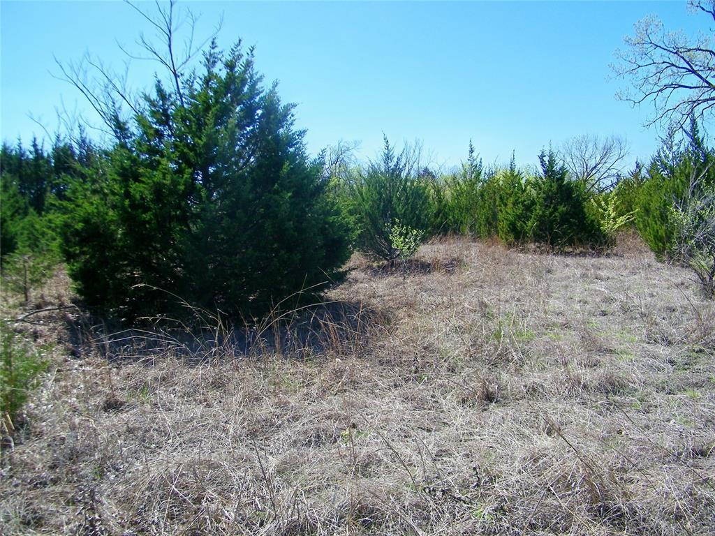 Property Image for N Triple X Road