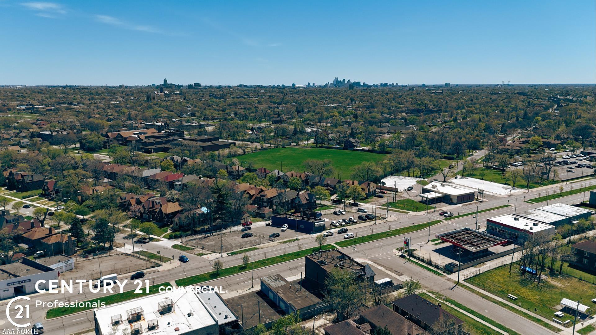 Property Image for 12218-12220 Livernois
