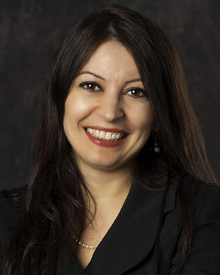 Headshot of Luminita Ispas