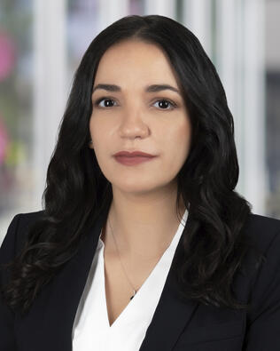 Headshot of Yasmen Farag