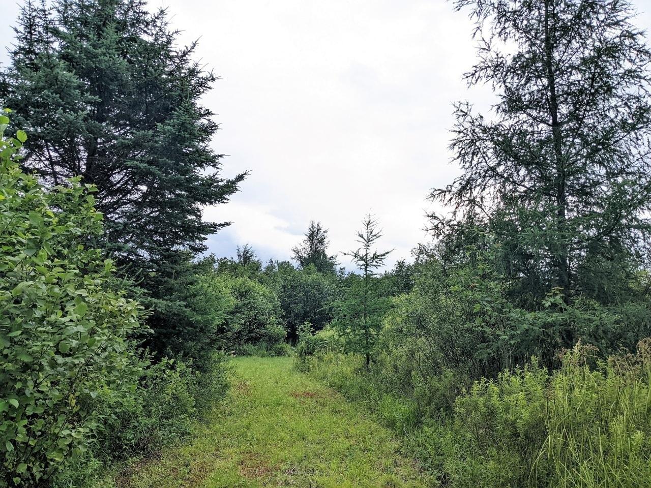 print property image
