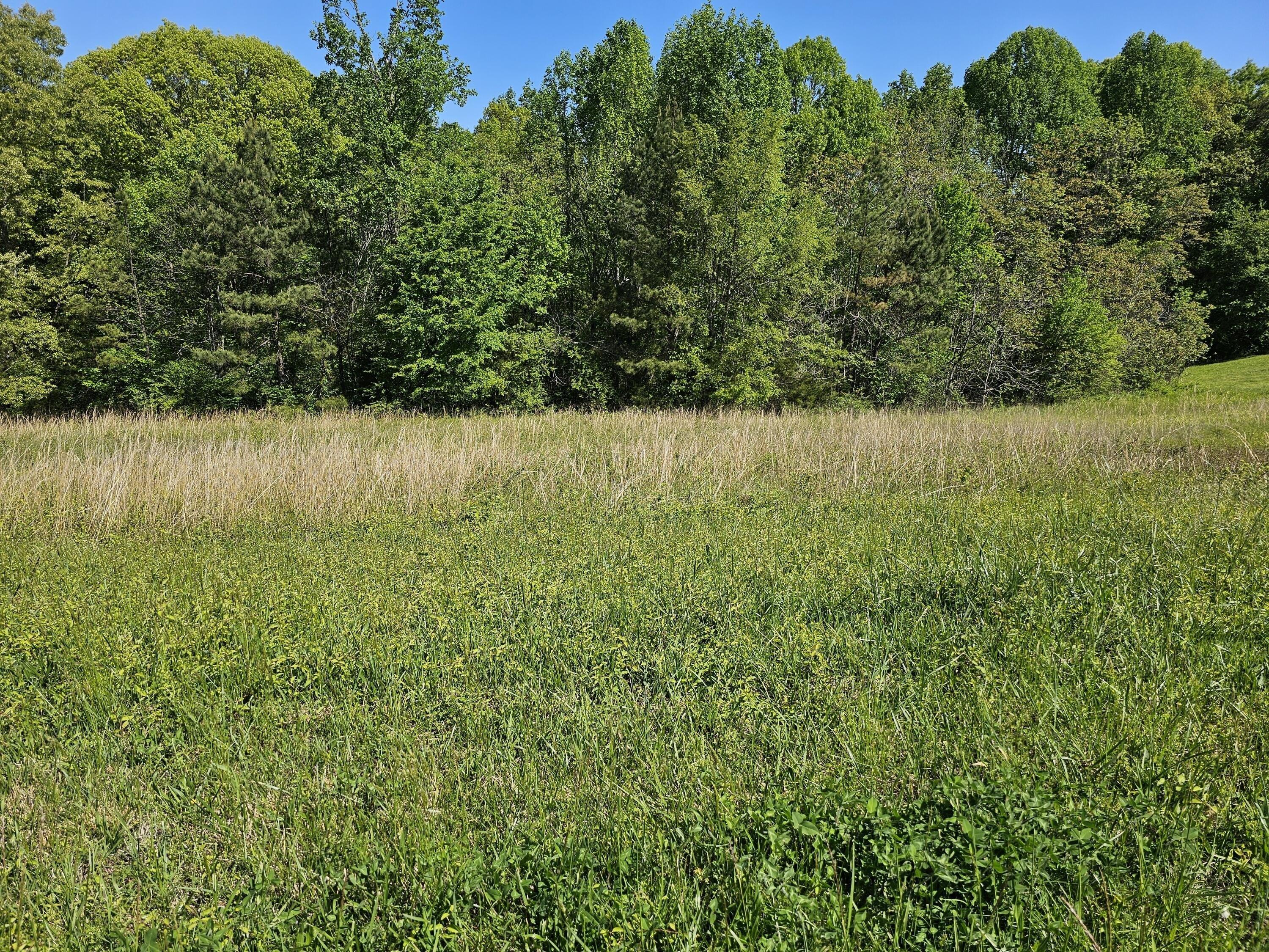 Property Image for 0 County Road 321 Lot 7