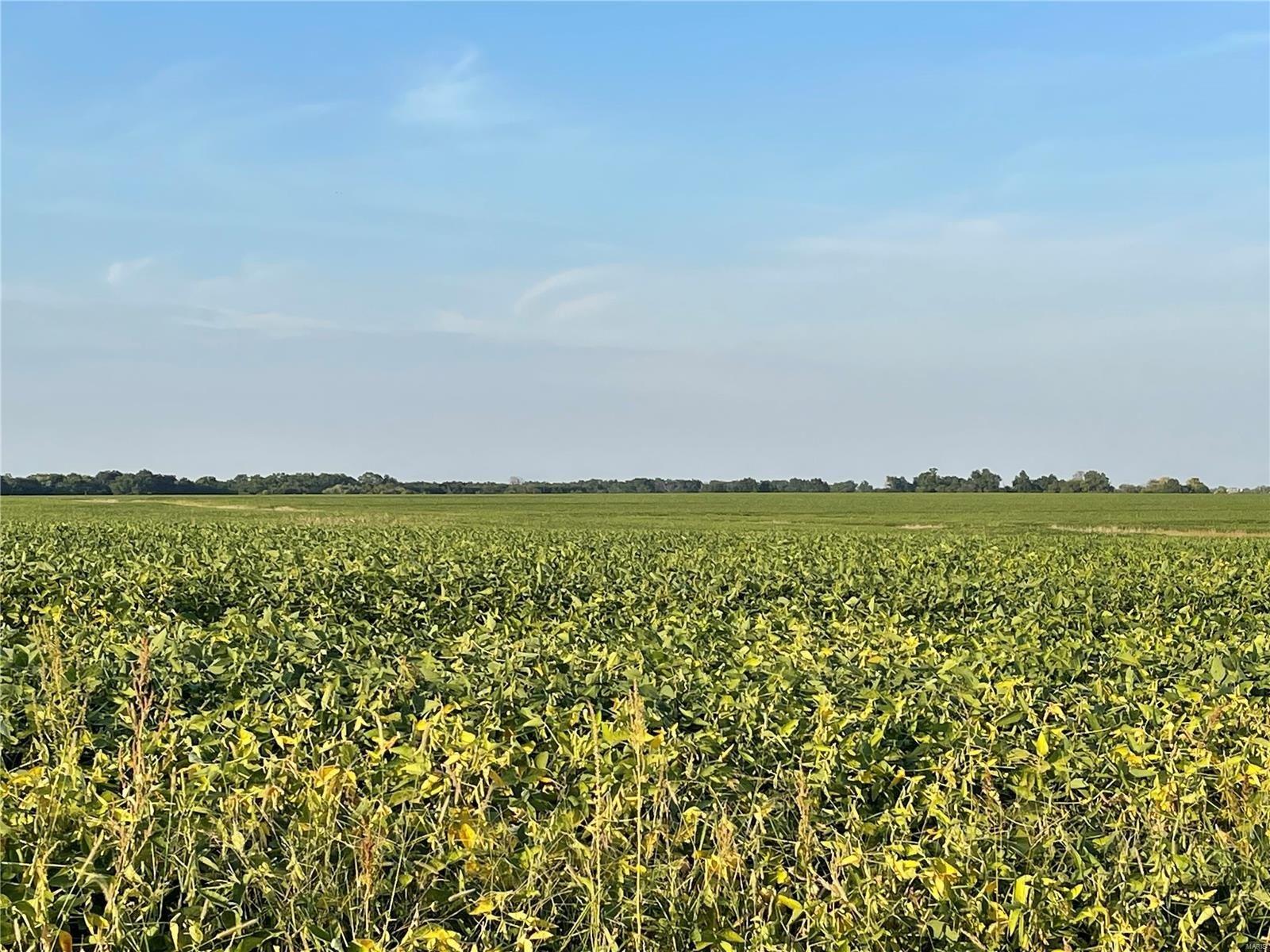 print property image