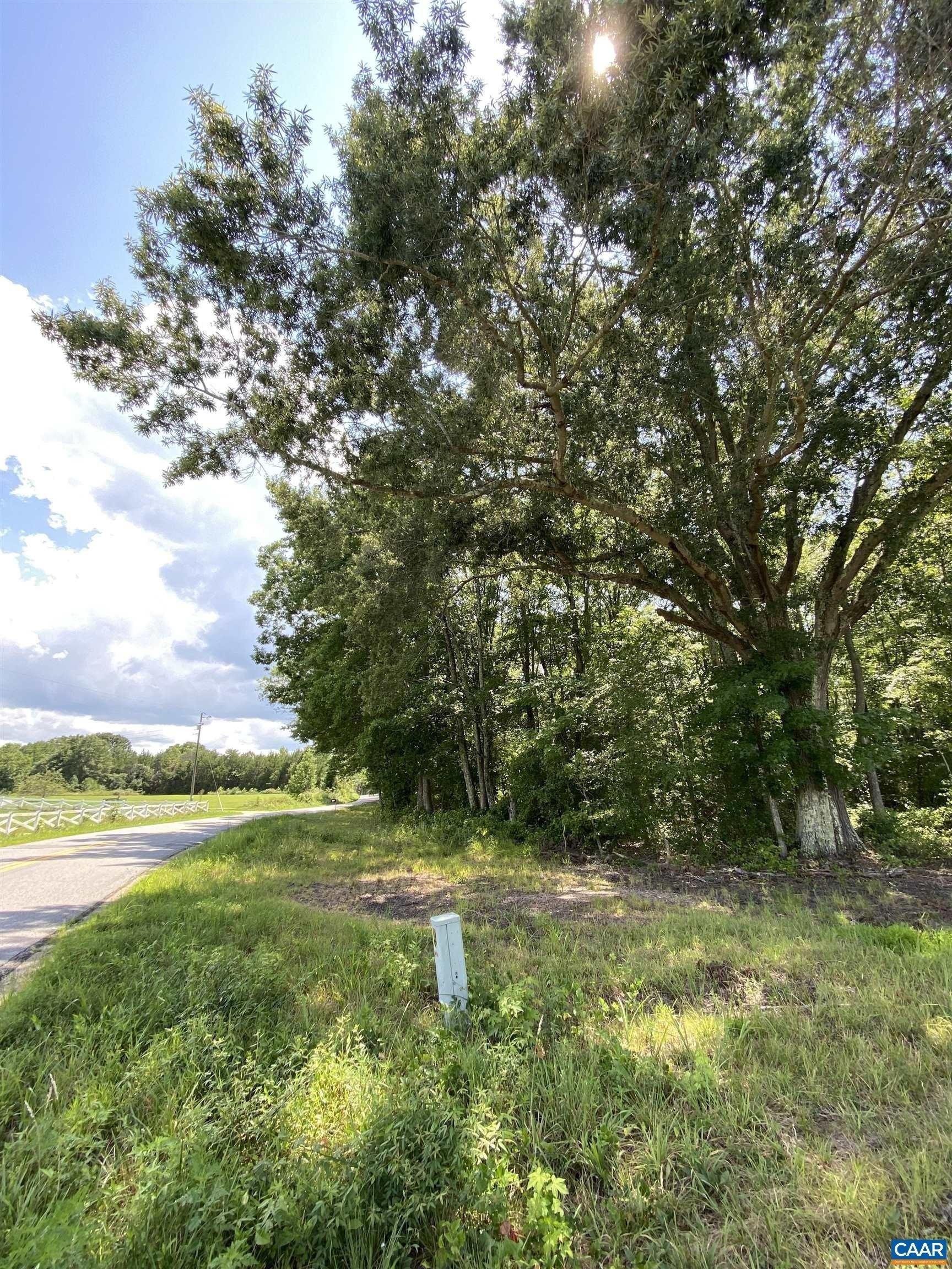 print property image