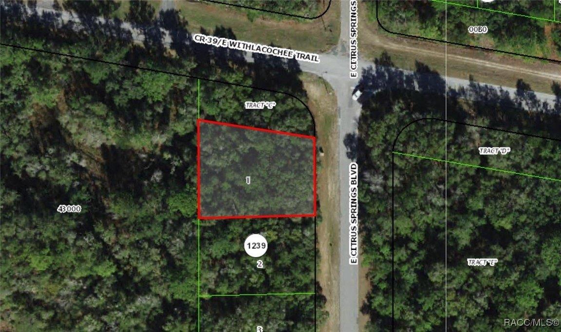 print property image