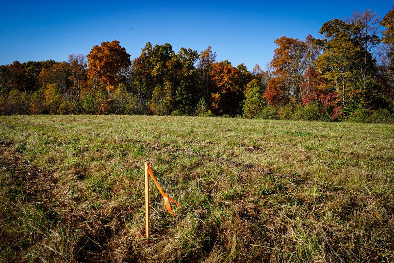 Buckhannon Real Estate Find Houses & Homes for Sale in Buckhannon, WV