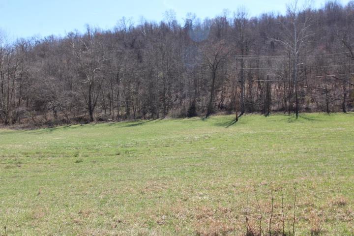 Property Image for State Route 217