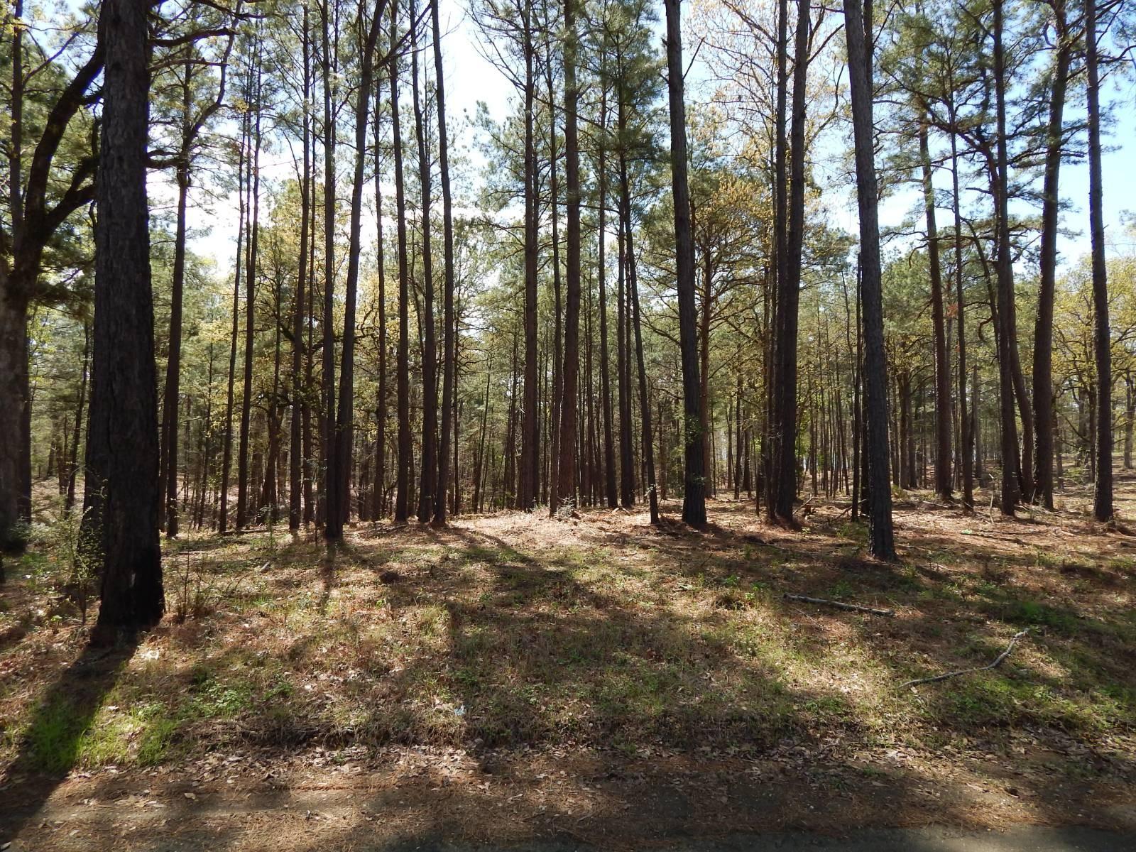 Property Image for 000  Oak Ridge Rd. 47