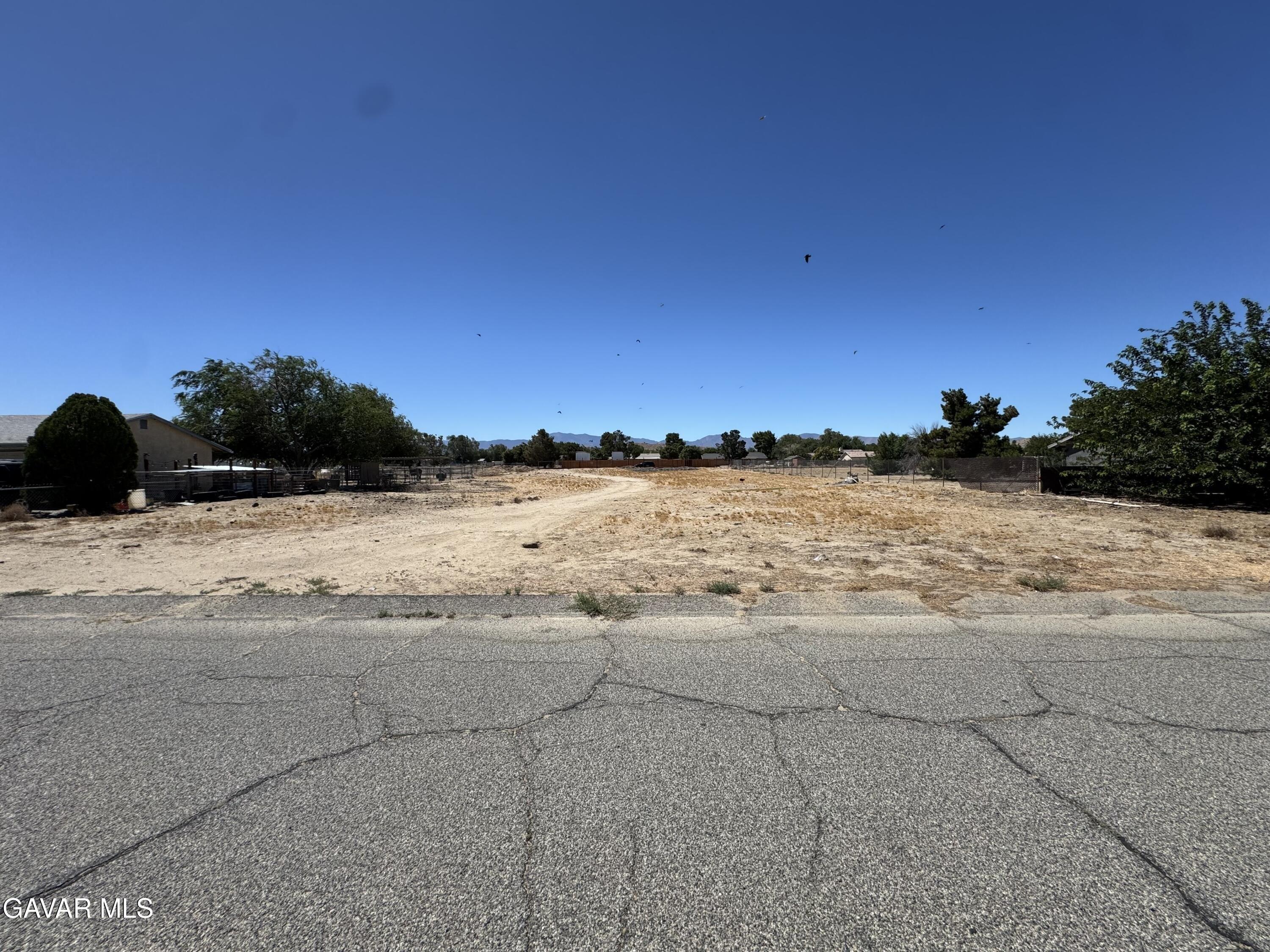 print property image