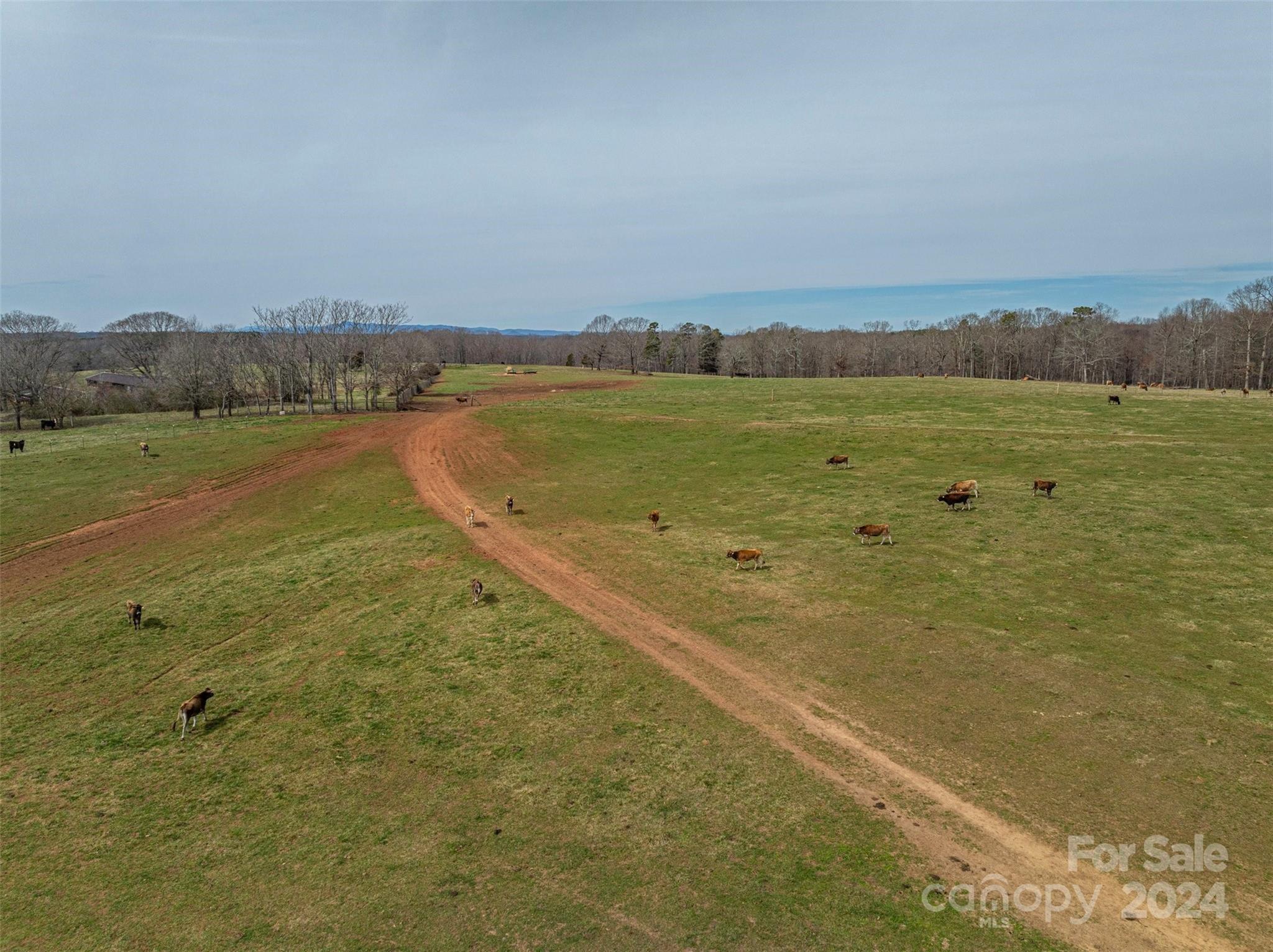 Property Image for 4214 NC 182 Highway