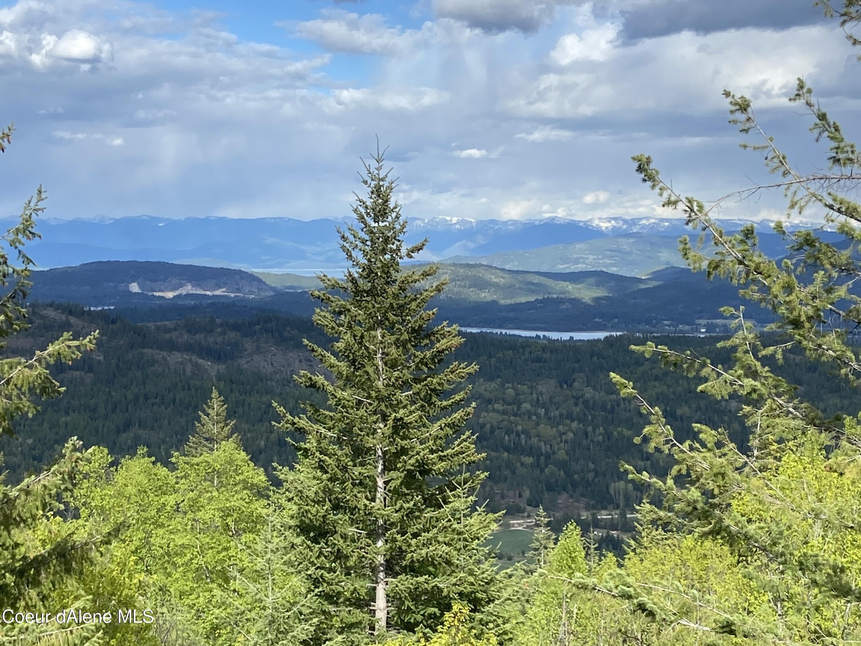 print property image