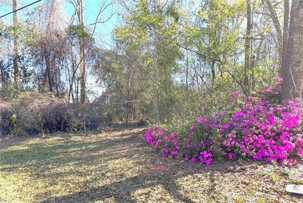 print property image