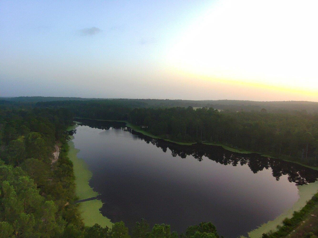 Palestine Real Estate | Find Houses & Homes for Sale in Palestine, TX