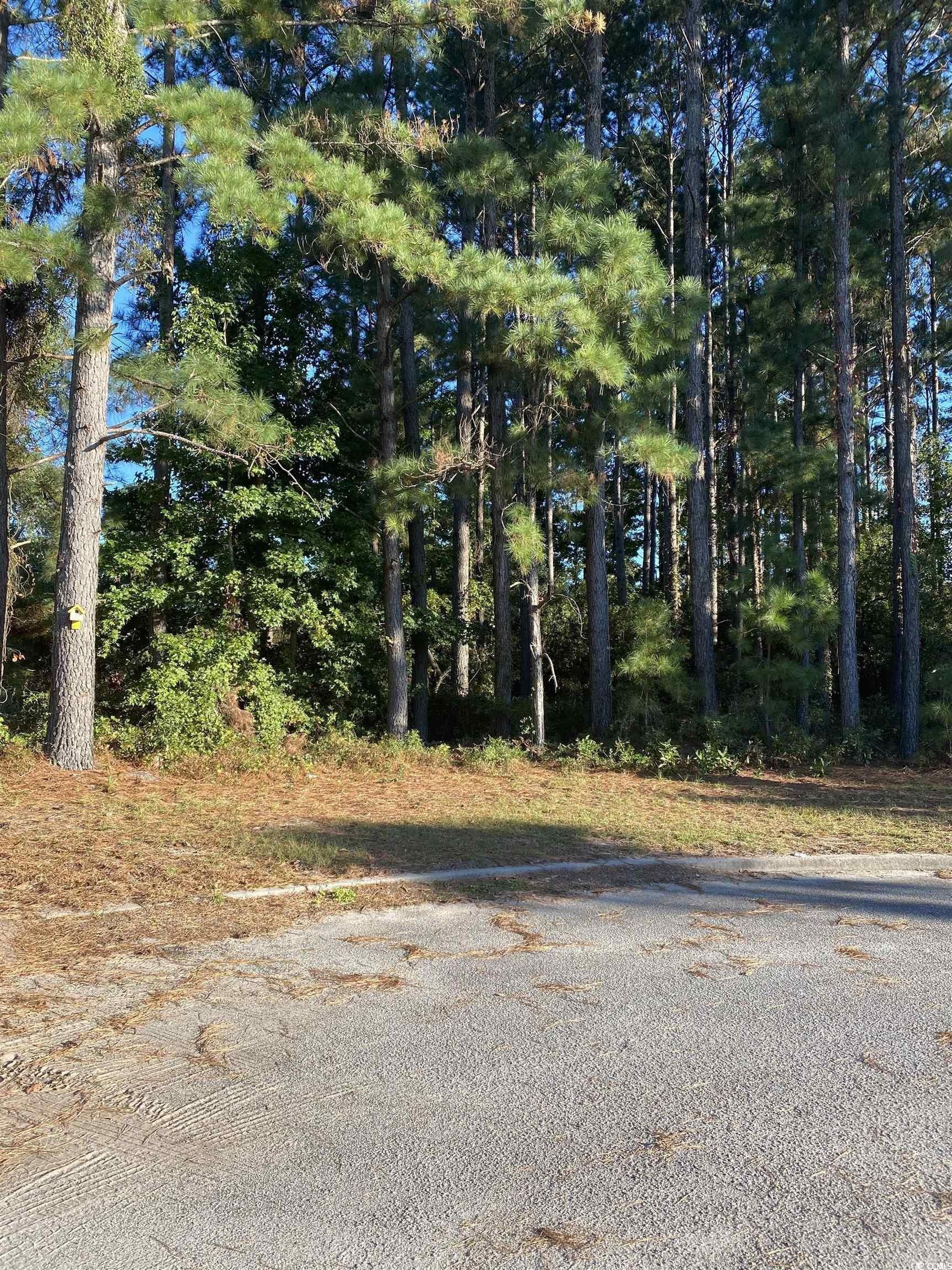 Property Image for 114 Finnegan Ct.