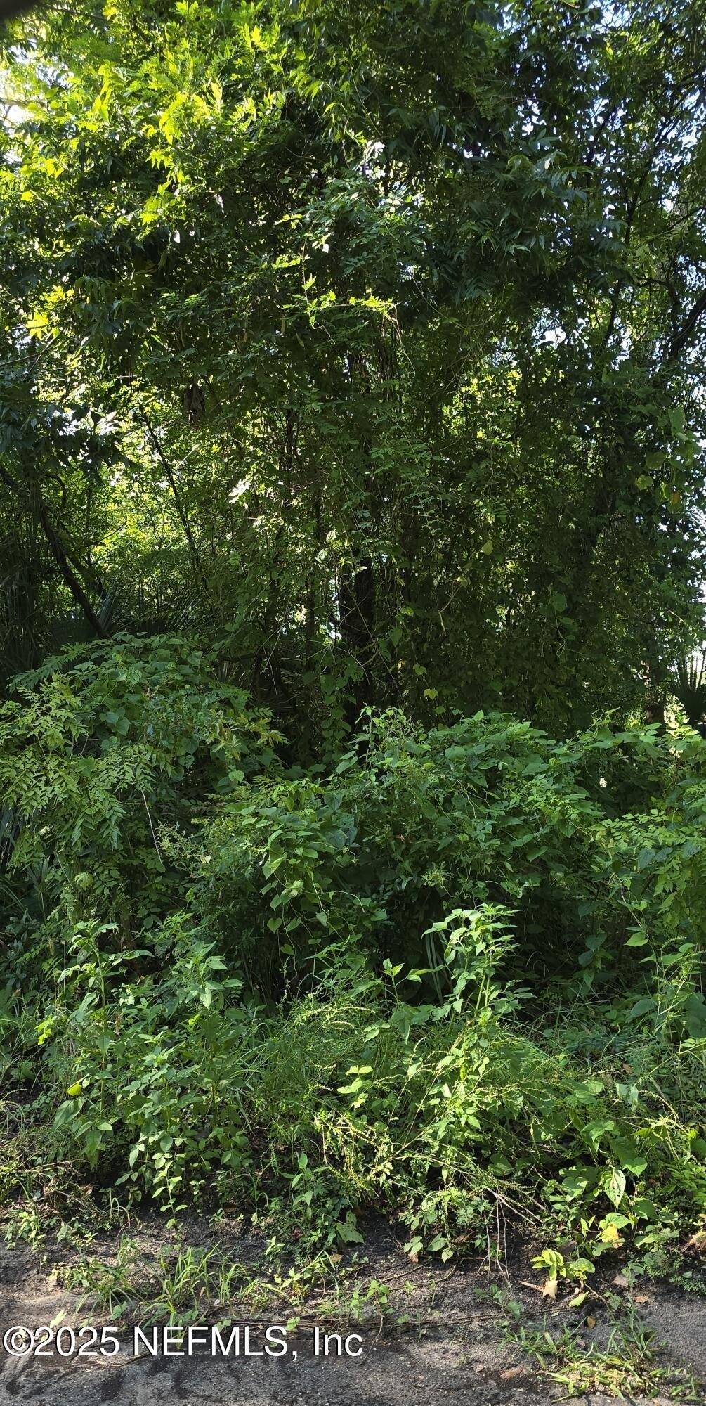 Property Image for MARIE Street