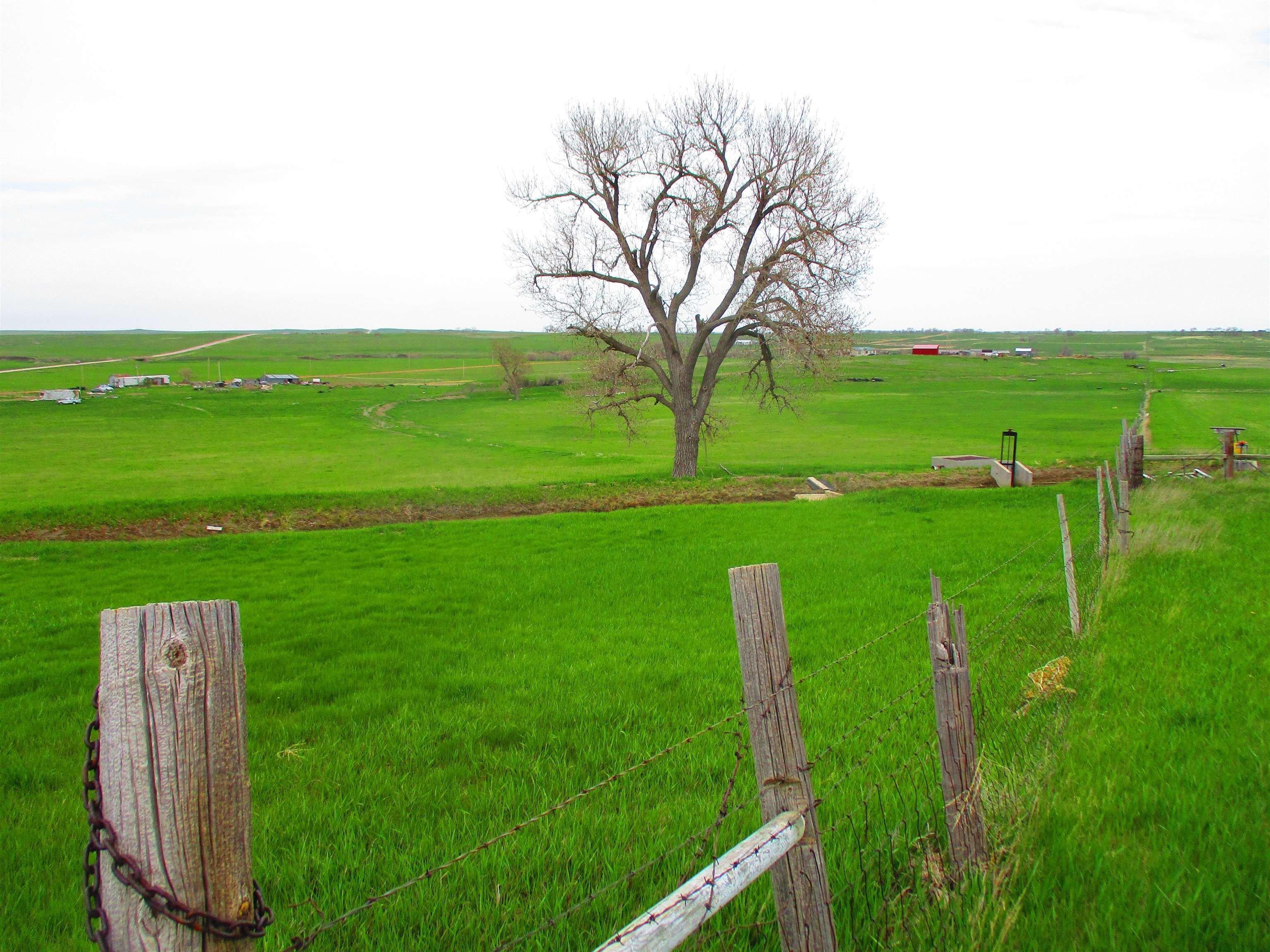 print property image