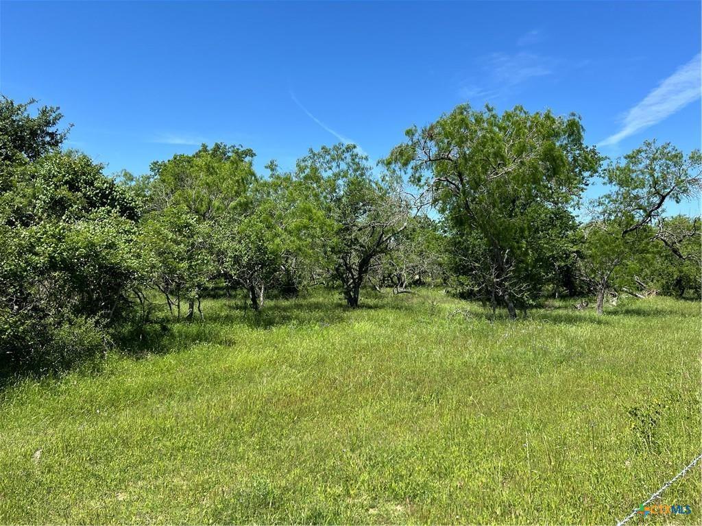 Property Image for Tract 6 CR 482
