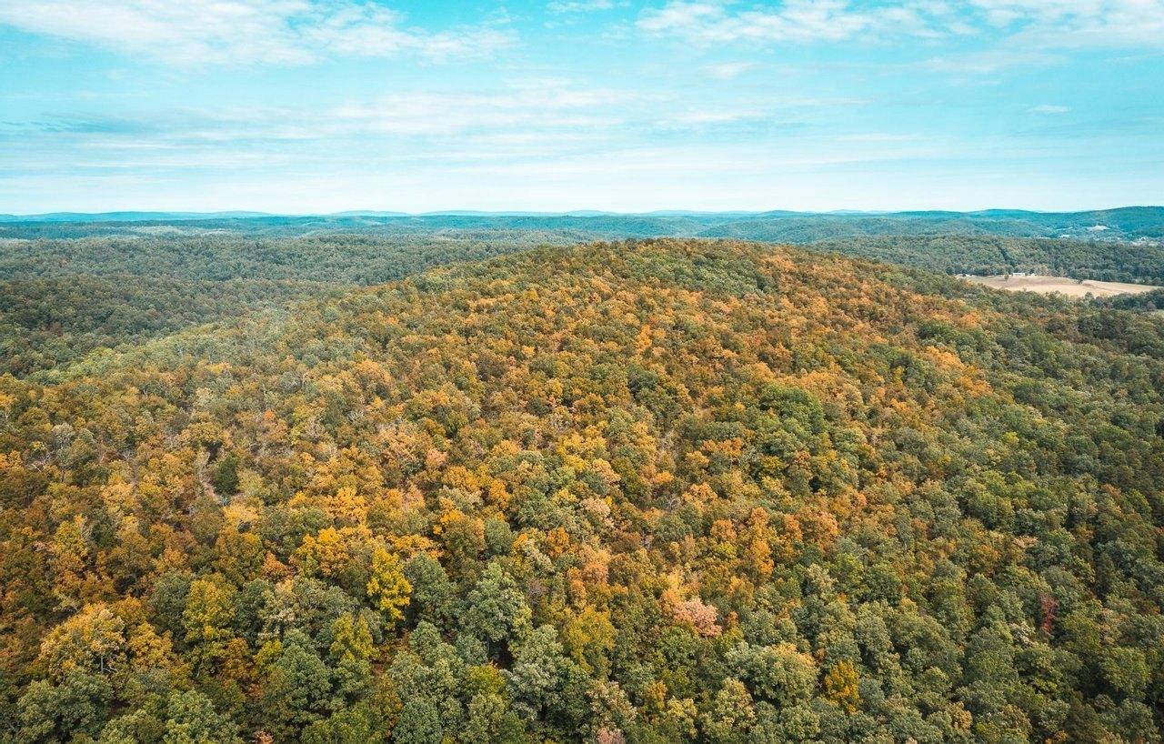 print property image