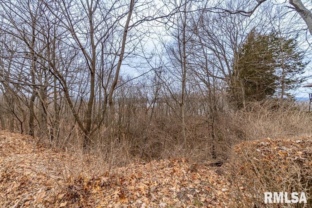 print property image