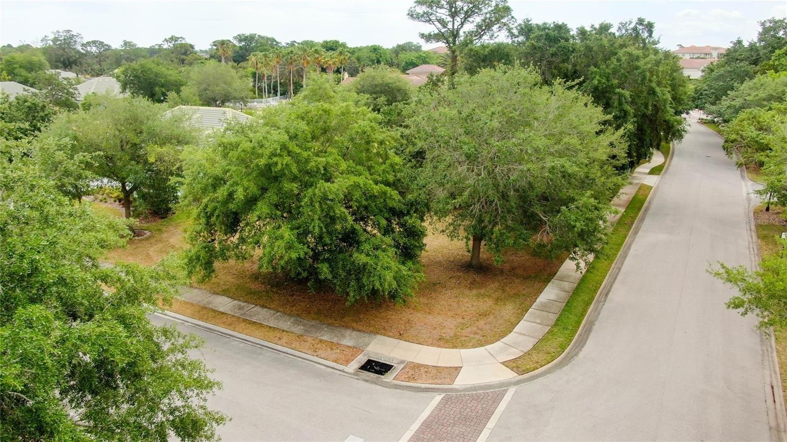 print property image