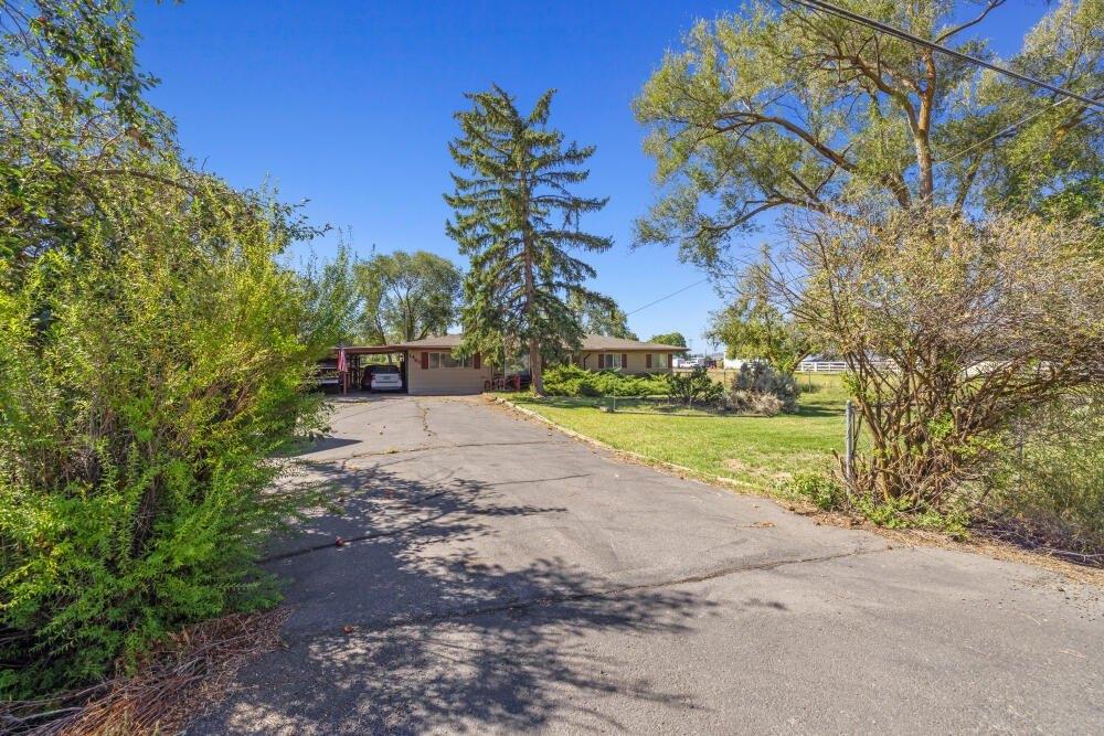 print property image