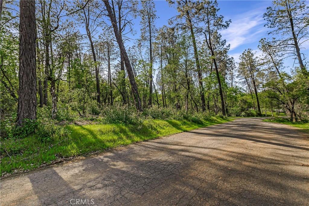 Property Image for 9200 Silver King Road